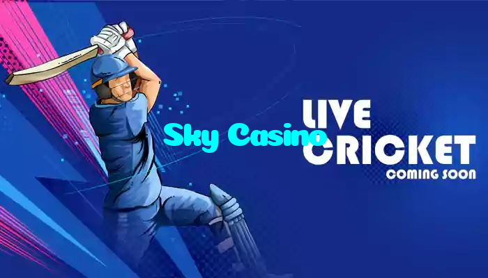 available types of Sky Casino bet including pre-match live express and system bets